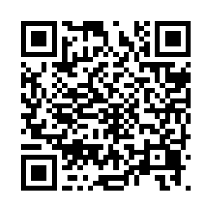 皇极刀府的府主是一个身形虚胖的中年男子二维码生成