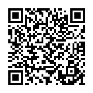 皇甫梦不由想起唐劫跟她说过的关于青龙的故事二维码生成