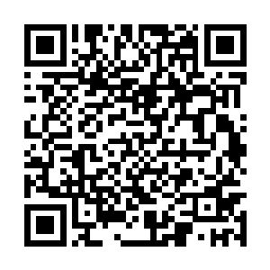 皇甫耀阳仔细回忆着之前看过的机场的立体设计图二维码生成