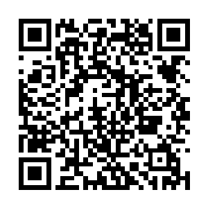 皇甫耀阳立刻就将还吊在他身上的冷小野抱进客厅二维码生成