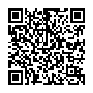 皇耀战队这边的应变是……这……皇耀战队显然没打算后退二维码生成