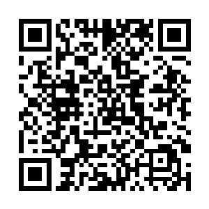 皇贵妃娘娘就是专程来亲自下厨给皇上做一顿好吃的二维码生成