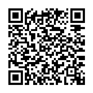 皖山市什么时候居然冒出了这么多d级以上的能力强着呢二维码生成