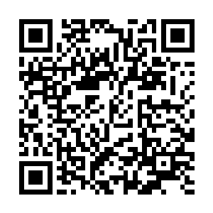 皮克王国皇家医院的救护车终于恰到好处的赶了回來二维码生成