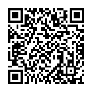 皮埃尔与瑞恩斯拼命的向着附近的一处高地冲击二维码生成