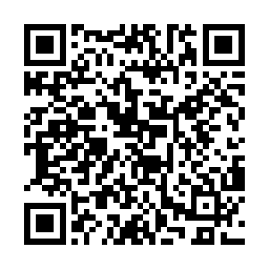 皮尔斯满脸震惊的听着上空蝙蝠堆里传来的凄厉惨叫二维码生成