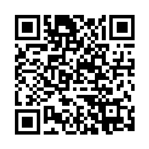 皮毛这么油光水滑又带着项圈的猫二维码生成