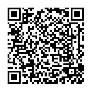 皮甲外面露出的长长的脖子和脑袋可以有效地保护骑在驼峰间的骑士二维码生成