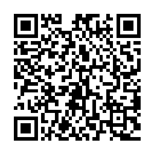 皮皮一看立刻把抓着乌龟的手背到了身后一副不情不愿的样子二维码生成
