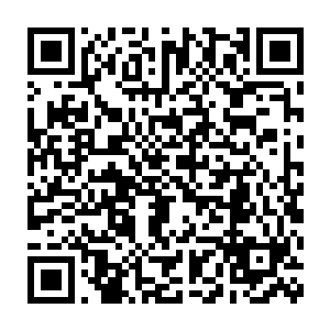 皮皮把背在身后的小乌龟拿到了手心伸手摸着龟壳对着贝海期盼的问道二维码生成