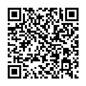 皮野绫难得没有让杀手17帮忙抢自己最为擅长的锤石二维码生成