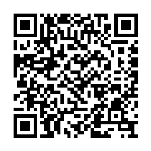 皱巴巴的两个小红猴子却看得清云先生分外欢喜二维码生成