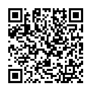 盈盈可握的腰肢在一条粉色小皮带拴系下显得更是蜂腰翘臀二维码生成