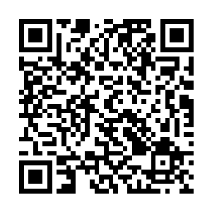 益杨土产公司的项目从改制到拍卖都经过了正常程序二维码生成