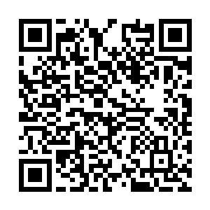 盖因最后冠军之争一定是在这两位的弟子之间产生二维码生成