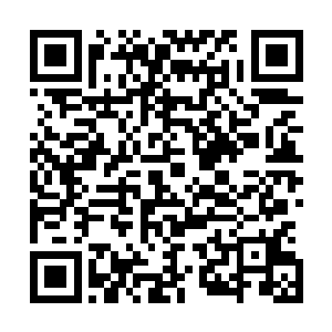 盗墓的难道有这么多人我不相信这里一定隐藏着天大的秘密二维码生成