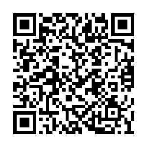 盘古幡的声音也再度从那血色心脏之中响了起来二维码生成