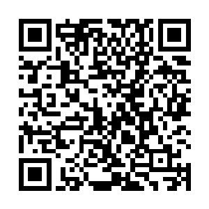 盘古幡那带着一丝狡猾和得意的笑声也从楚旬心中响起二维码生成