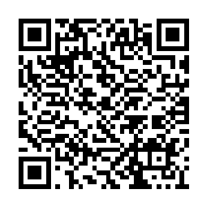 盘古族和女娲族强者们传来了十分尖锐的脑电波二维码生成