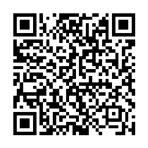 盘坐在一处石阶上的玄灵上人脸上神色也是连连变幻二维码生成
