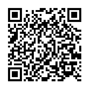 盘旋于众人头顶的黑暗蛟龙却是纷纷聚拢到了厉灵海周围二维码生成