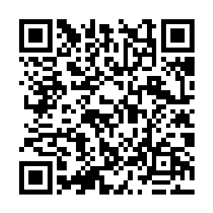 盘龙界俨然成为了修真者和普通人和谐共处的典范二维码生成