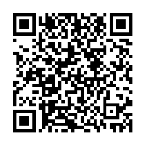 盘龙霸王枪周围扭曲螺旋的红蓝烈焰足足长达五十米二维码生成