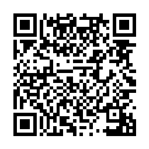 盛夏闷热的空气在一阵久违的雷雨之后清润了不少二维码生成