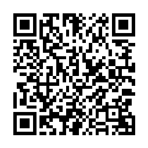 盛婉君和一名白发苍苍的老者突然出现在总兵府大厅之中二维码生成