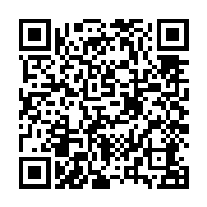 盛思颜抱着阿宝坐在院子里花叶尚未长全的紫藤花架下二维码生成