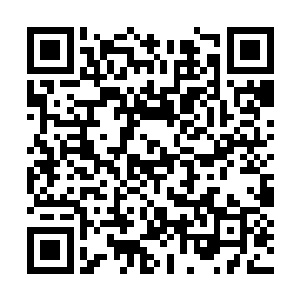 盛耀日他们还不知道苏落现在制定了考核必须成功二维码生成