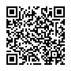 盟主你千万不要因为几颗老鼠屎就动摇了你的决心二维码生成