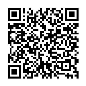 盟主几个人见到龙傲太难竟然跟食脑兽斗了一个不相上下之后二维码生成