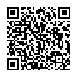 目不转睛地看着镇压在高空之上的那块宛若山岳一般的雄伟石碑二维码生成