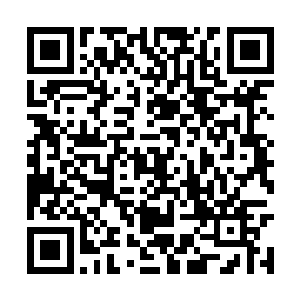 目中露出疯狂之色的向丁离打出了各种的法术攻击二维码生成