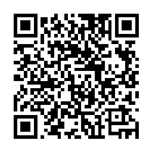 目光一瞬不瞬的盯着水潭底部那一只不过巴掌大小二维码生成