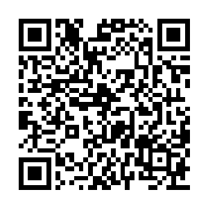 目光下意识的向着下面的下属们冷厉的扫了过去二维码生成