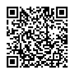 目光不由自主地又被广场四周的四尊石像给吸引住了二维码生成