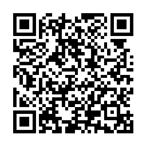目光之中又露出了如野兽噬人前一刻时才有的嗜血与凶戾来二维码生成
