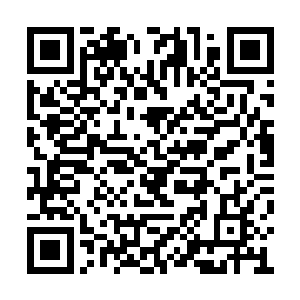 目光也落到了山谷深处的一个巨大的通道的方向二维码生成