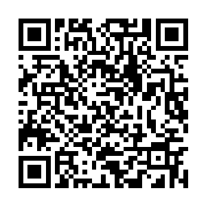 目光似穿透了层层建筑的阻碍看向外界的广阔天地二维码生成