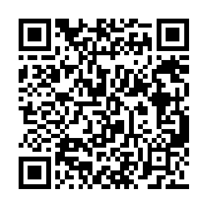 目光倏然一转落向远处屋顶上正看着这边的夭华二维码生成