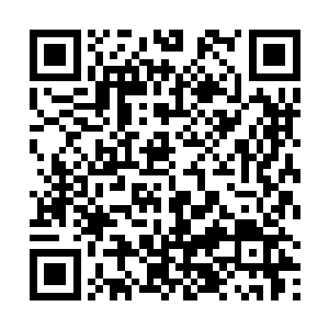 目光全都转移到了那些气息人浑厚的天尊以上修士身上二维码生成