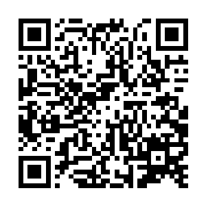 目光冷冷的看着林嫔那张伤口纵横被血糊满了的脸二维码生成