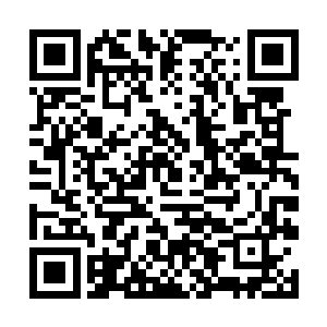 目光冷厉地望着那从四面八方惊动而来的食骨部族人二维码生成