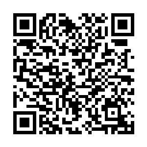 目光则静静的打量着百里外正在争夺着一片金竹叶的人二维码生成