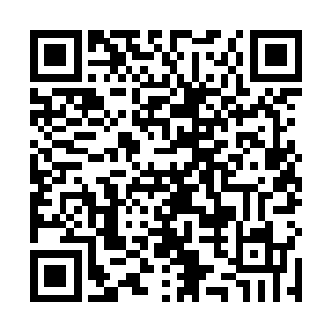 目光却是不怀好意地在曲华裳张若惜等人身上扫了一遍二维码生成