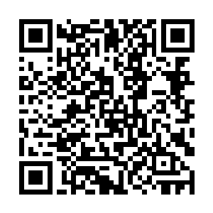 目光和当初他伸手去刀箱里抓那五枚铜钱的时候一样二维码生成