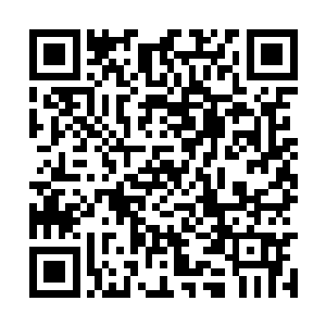 目光在两名美杜莎魔人青色和紫色的脸上扫来扫去二维码生成