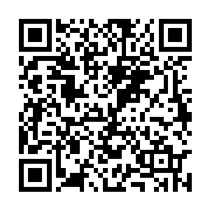 目光在日族族长和月族族长身上来回巡视了一下道二维码生成